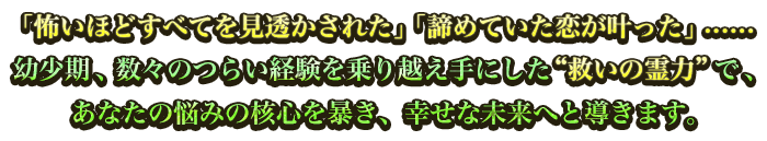 u|قǂׂĂꂽvu߂ĂvcccAX̂炢ozɂg~̗́hŁAȂ̔Y݂̊jS\AKȖւƓ܂B